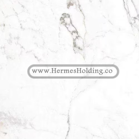 GLORY WHITE MARBLE